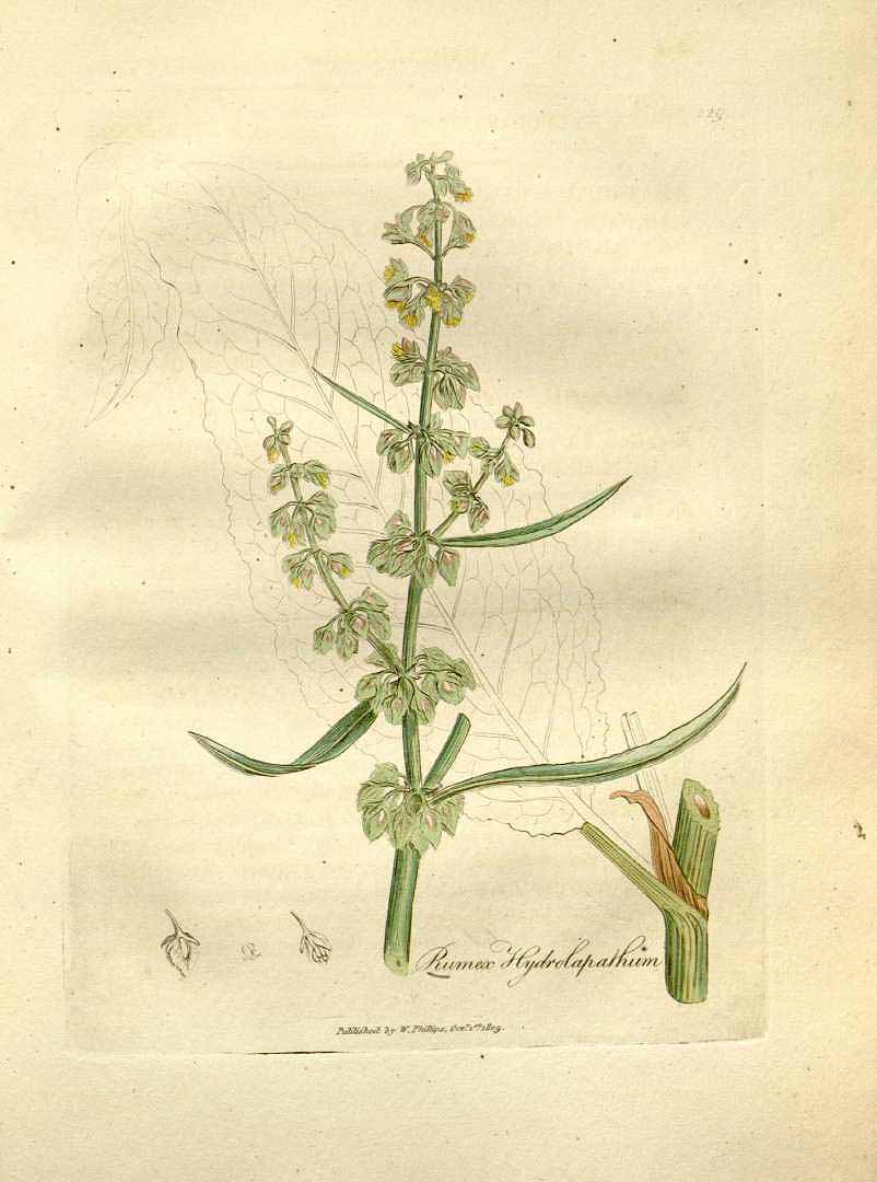 no HD illustration available (3)