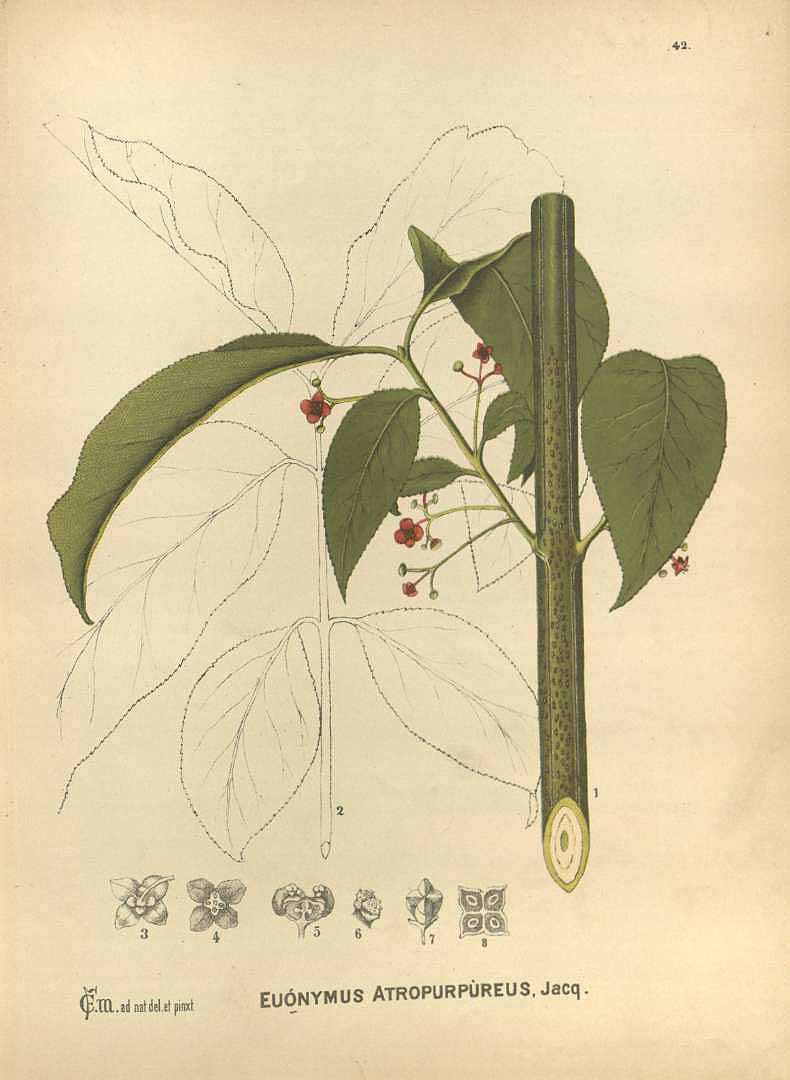 no HD illustration available (3)