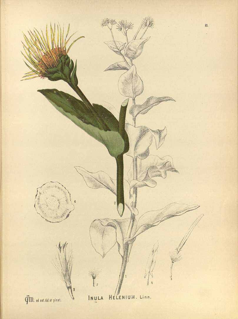 no HD illustration available (3)