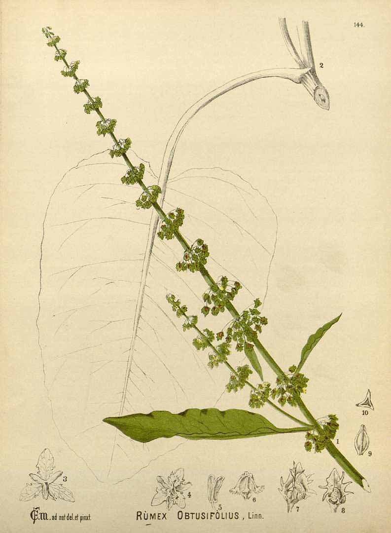 no HD illustration available (3)