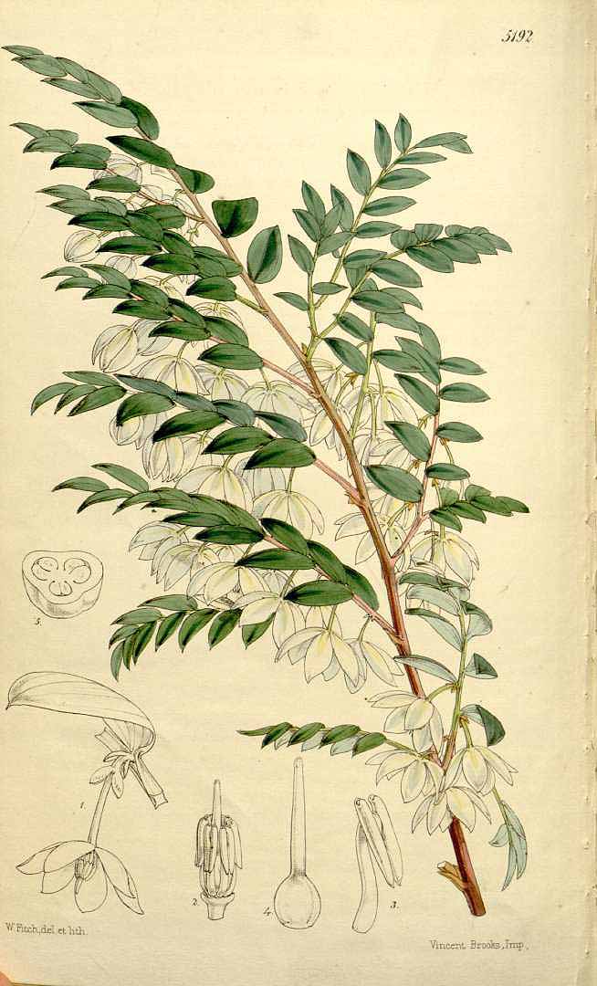 no HD illustration available (3)