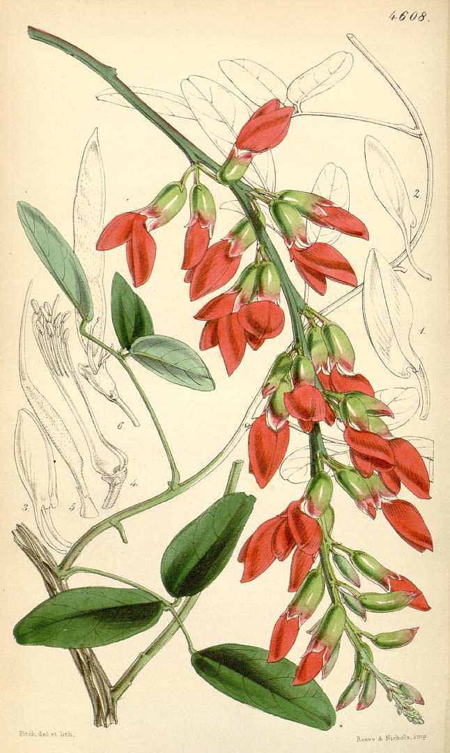 no HD illustration available (3)