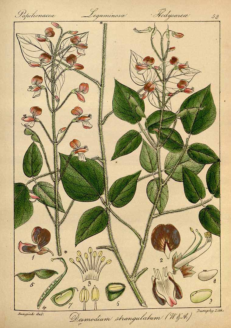 no HD illustration available (3)