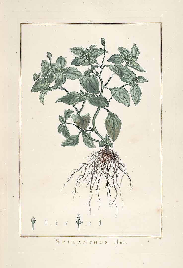 no HD illustration available (3)