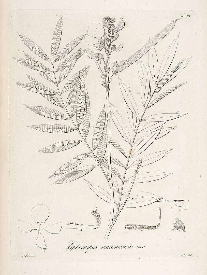 no HD illustration available (3)