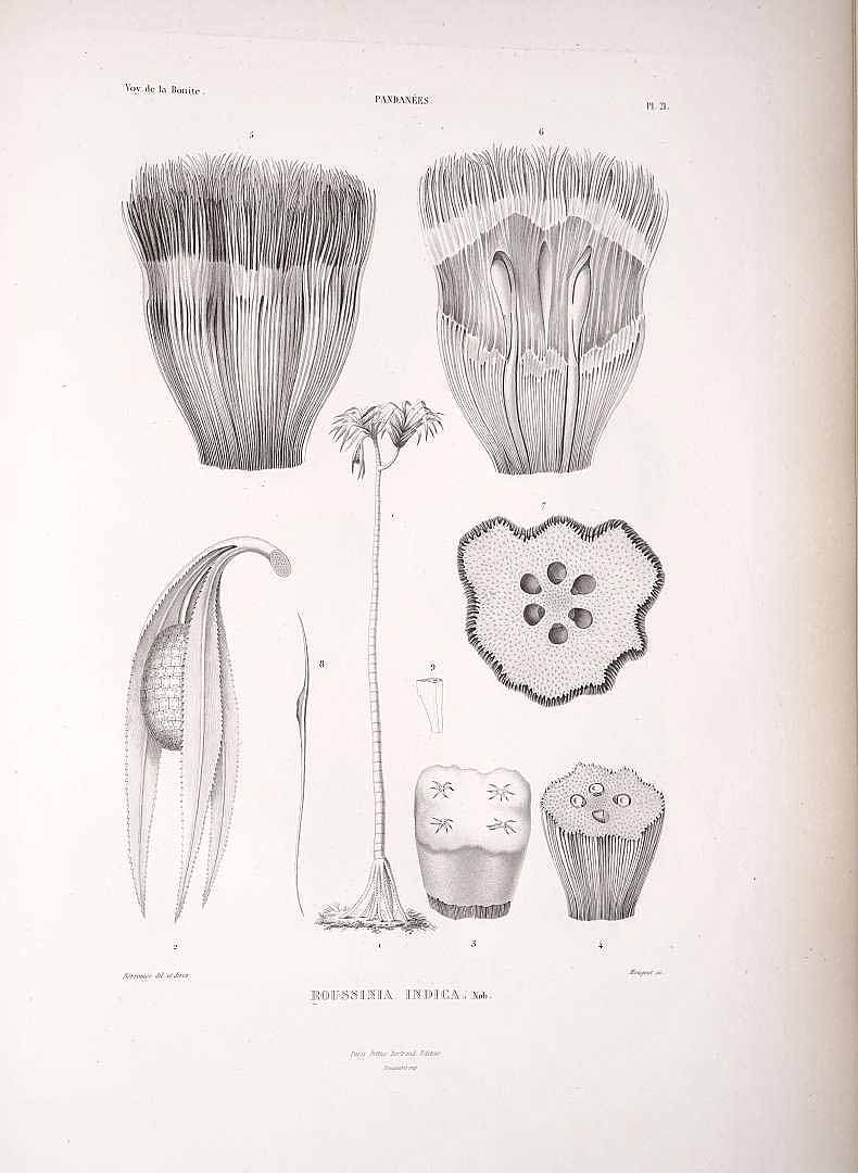 no HD illustration available (3)