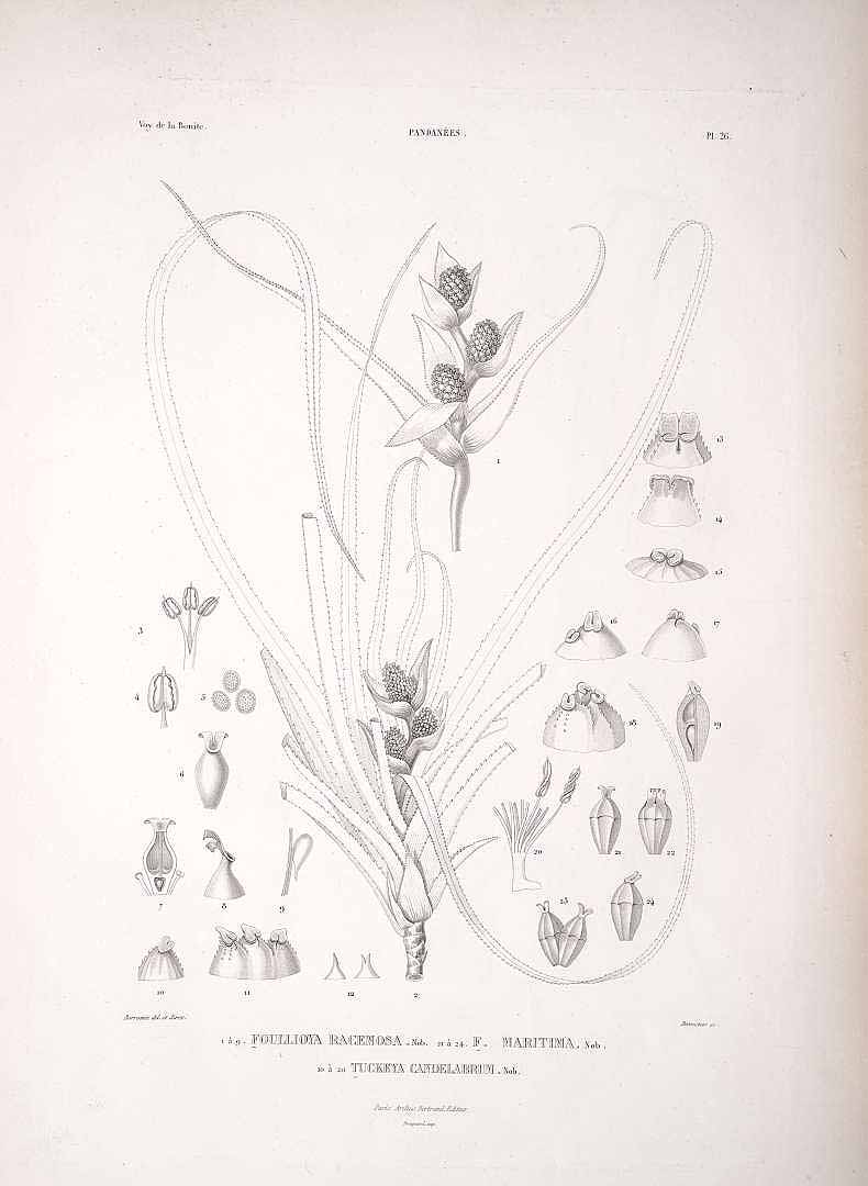 no HD illustration available (3)