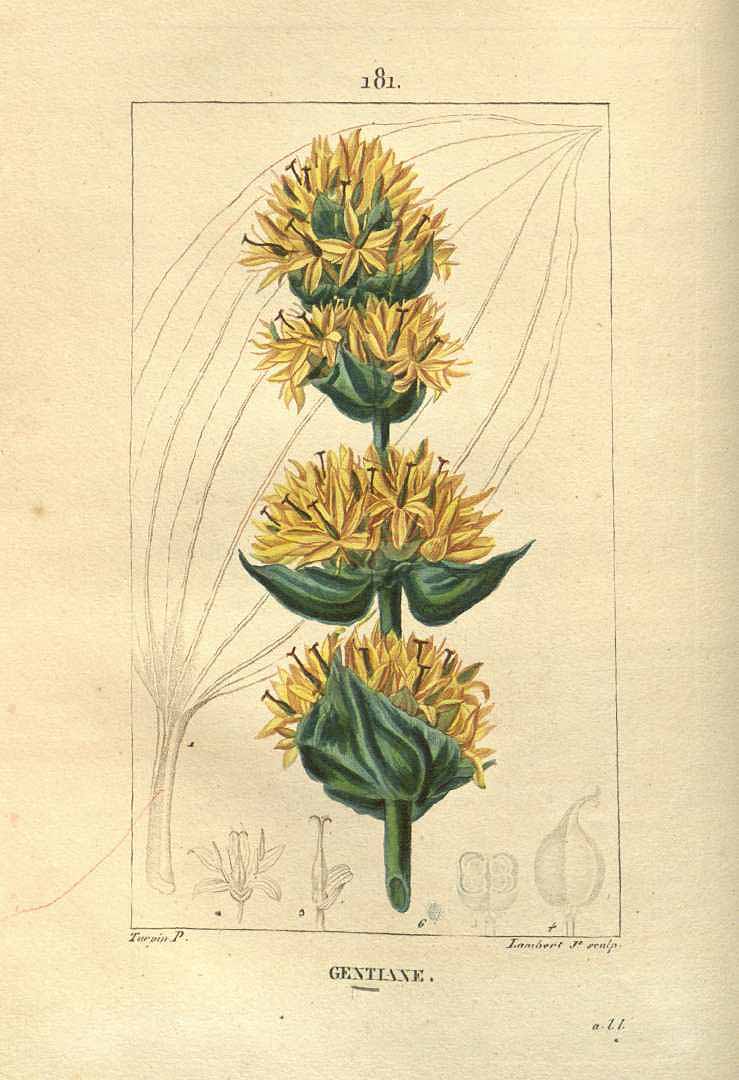 no HD illustration available (3)