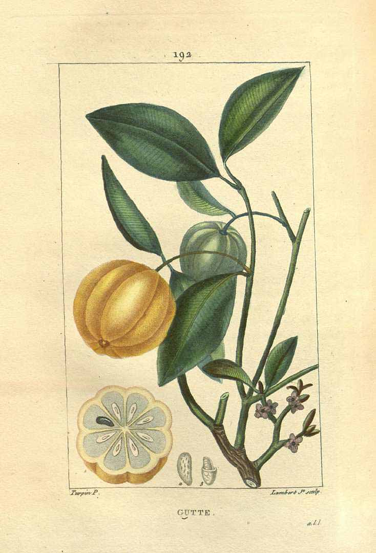 no HD illustration available (3)