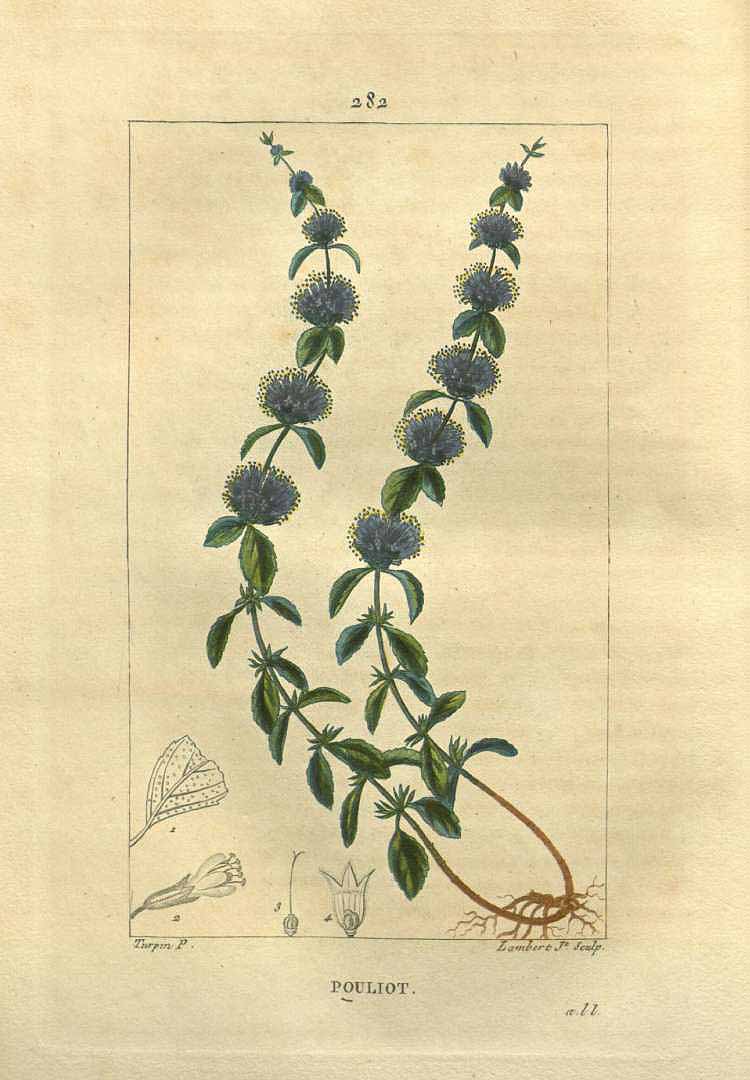 no HD illustration available (3)