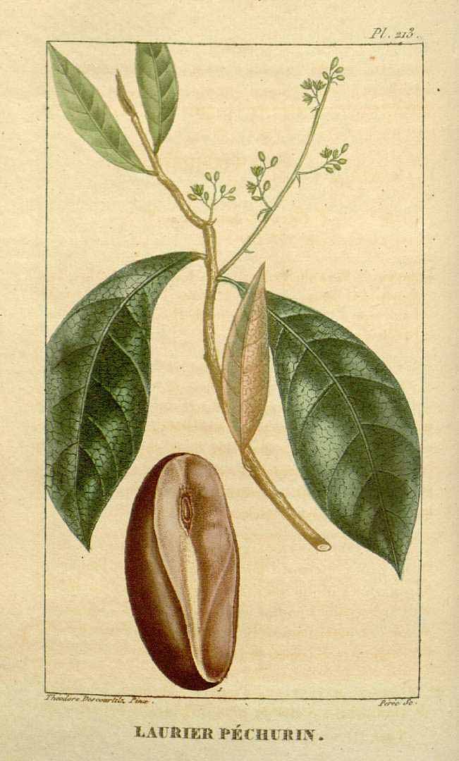 no HD illustration available (3)