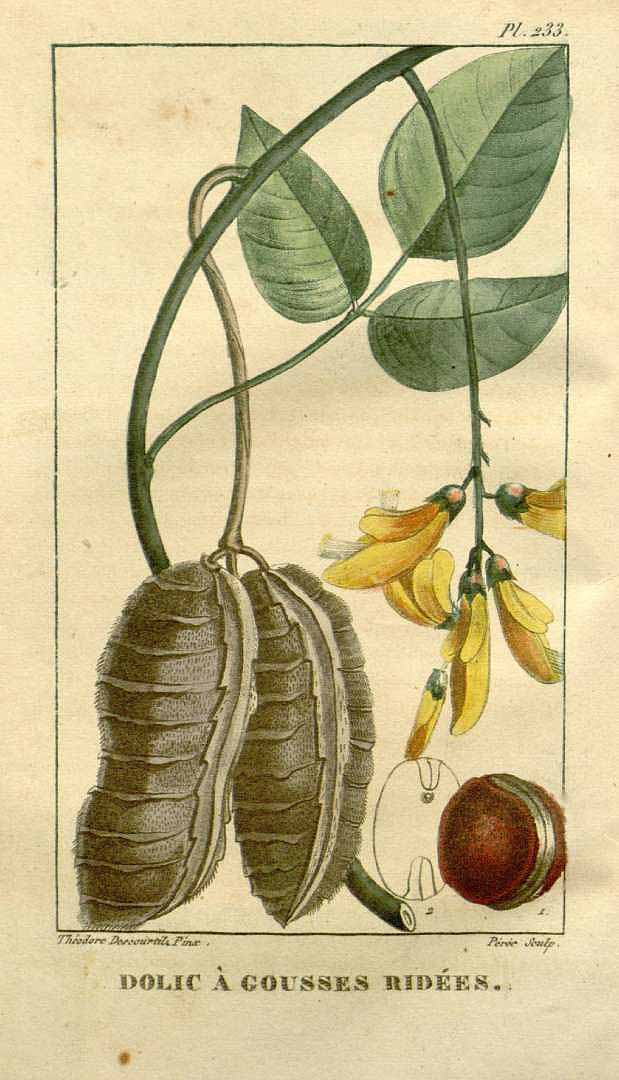 no HD illustration available (3)