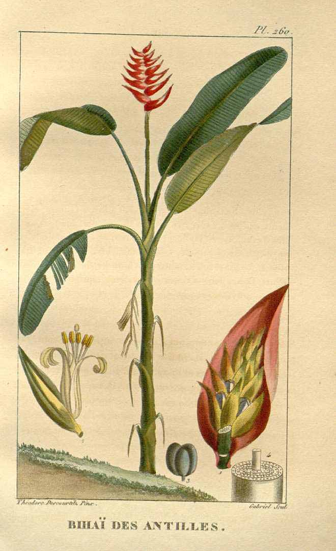 no HD illustration available (3)