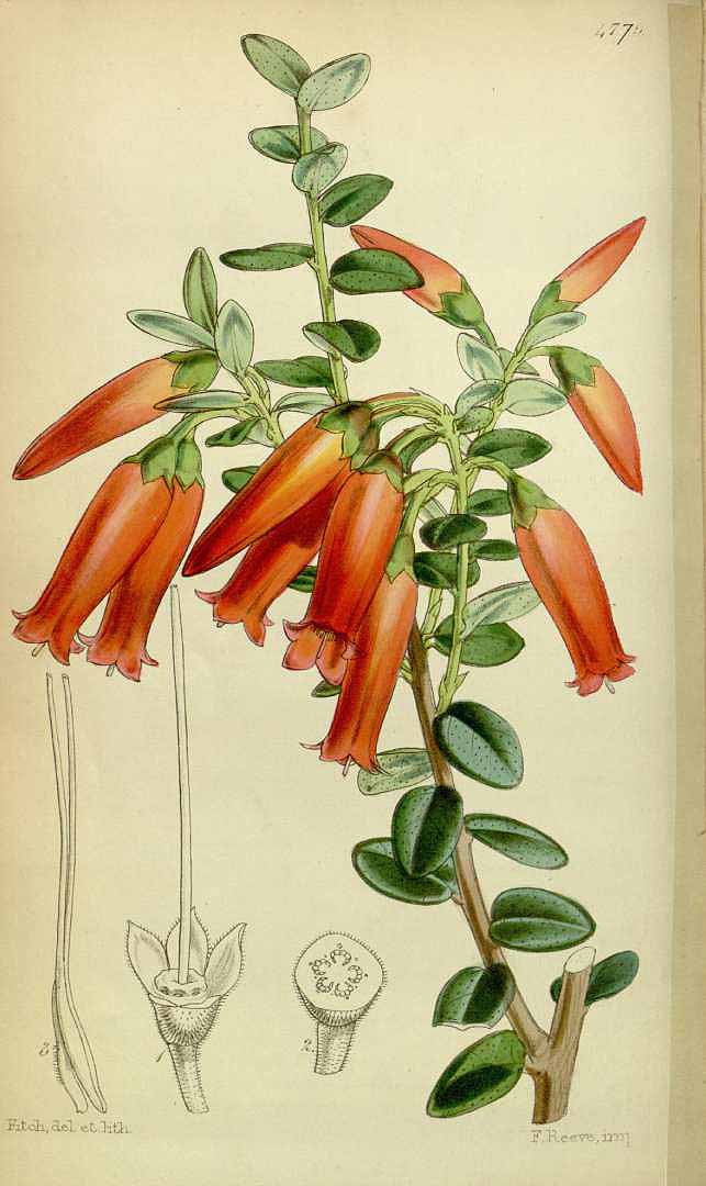 no HD illustration available (3)