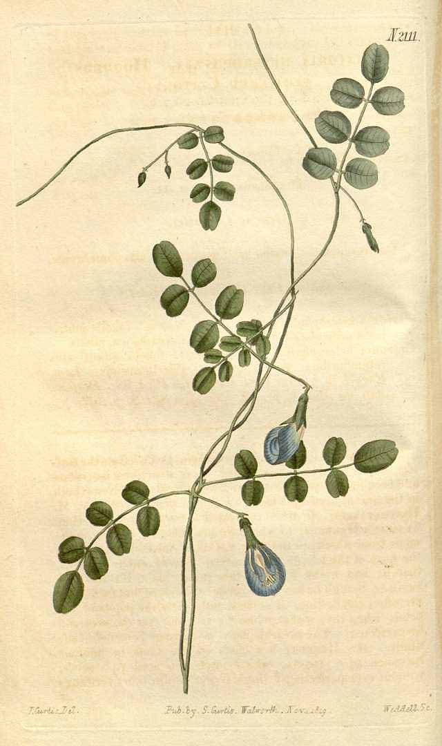 no HD illustration available (3)