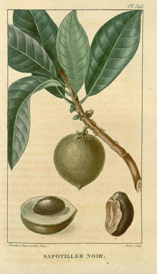 no HD illustration available (3)