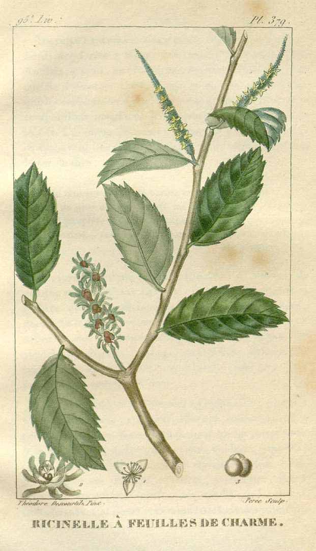 no HD illustration available (3)