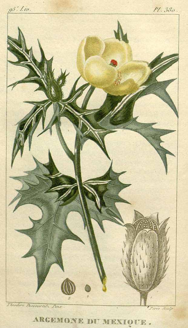 no HD illustration available (3)