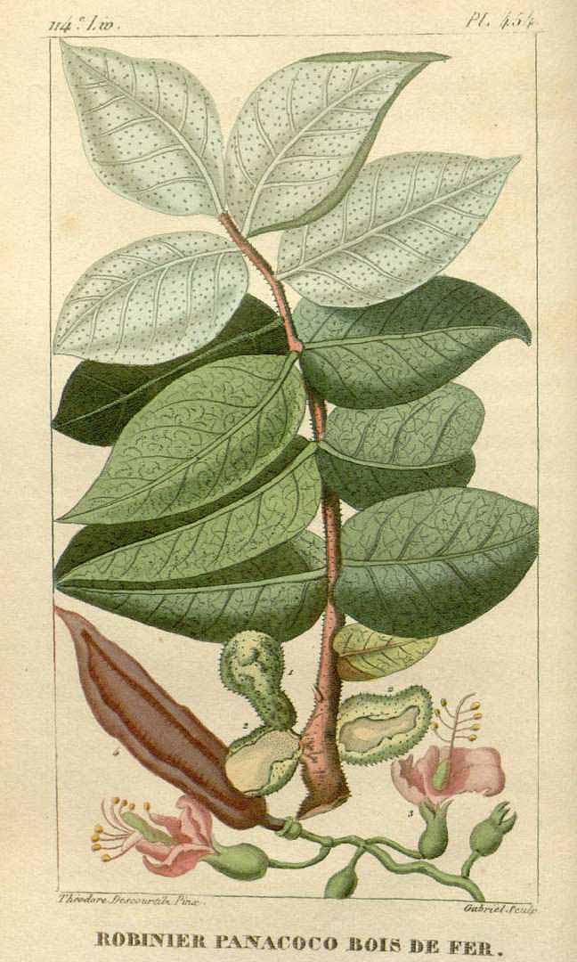 no HD illustration available (3)