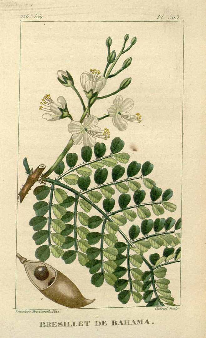 no HD illustration available (3)