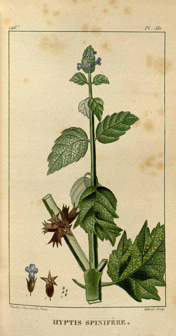 no HD illustration available (3)