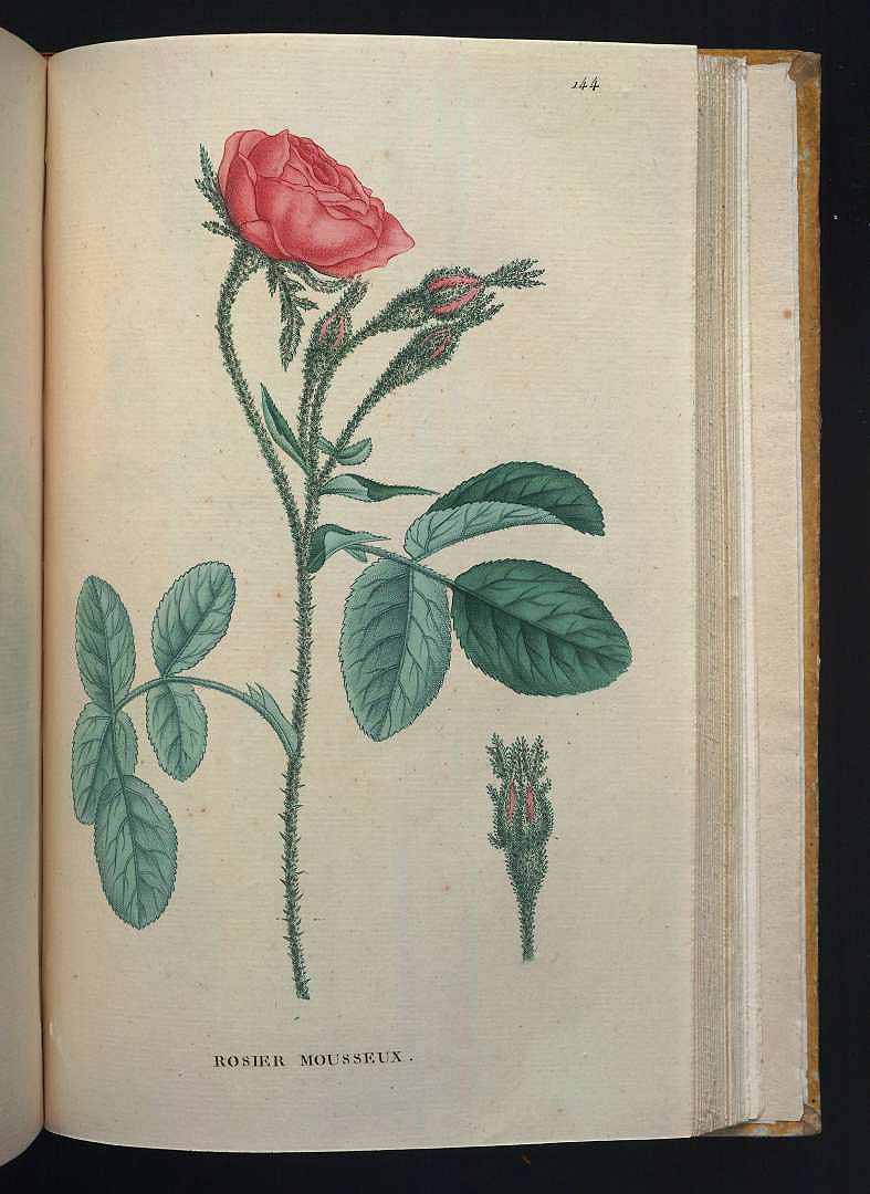 no HD illustration available (3)