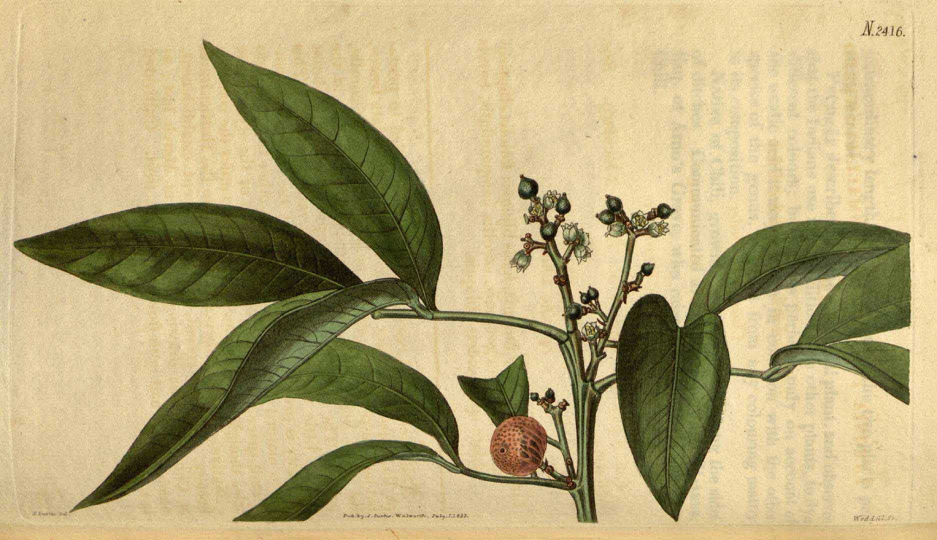 no HD illustration available (3)