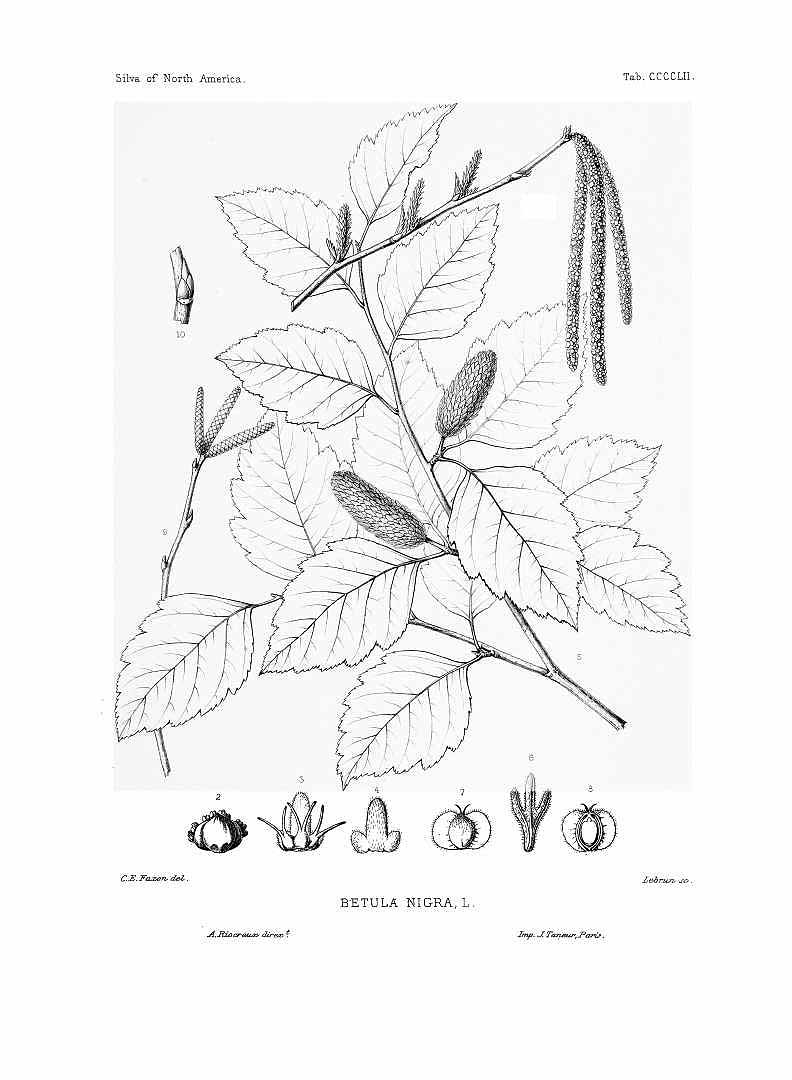 no HD illustration available (3)