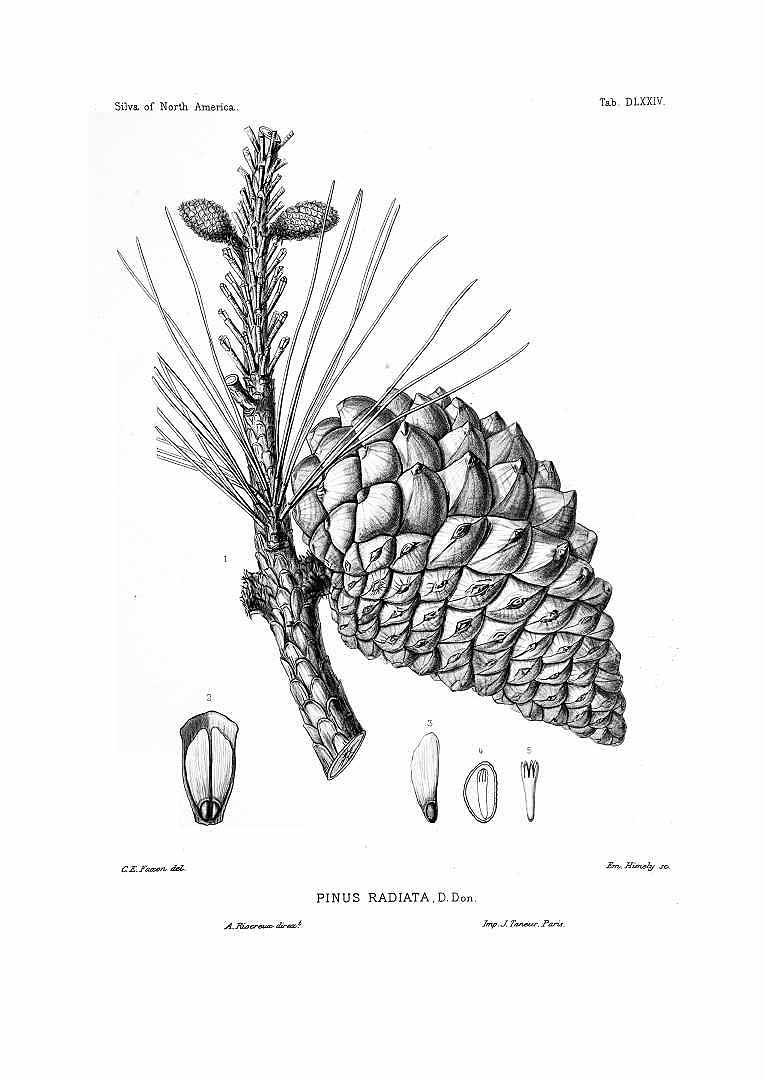 no HD illustration available (3)