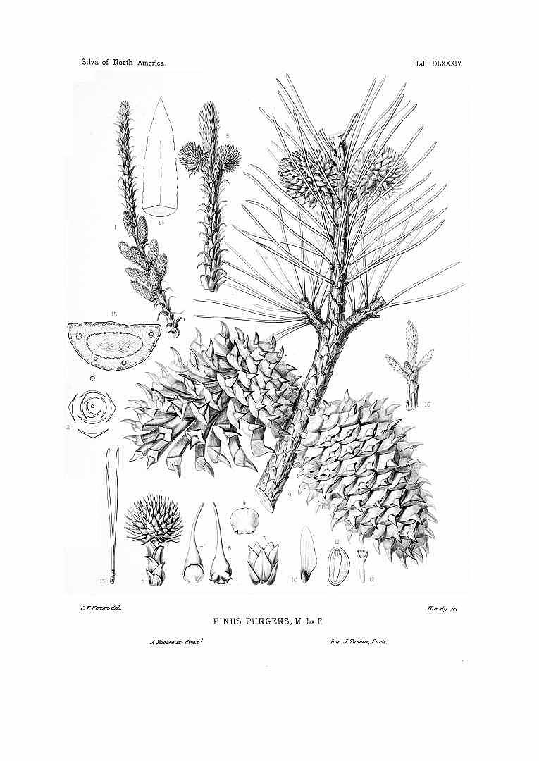 no HD illustration available (3)