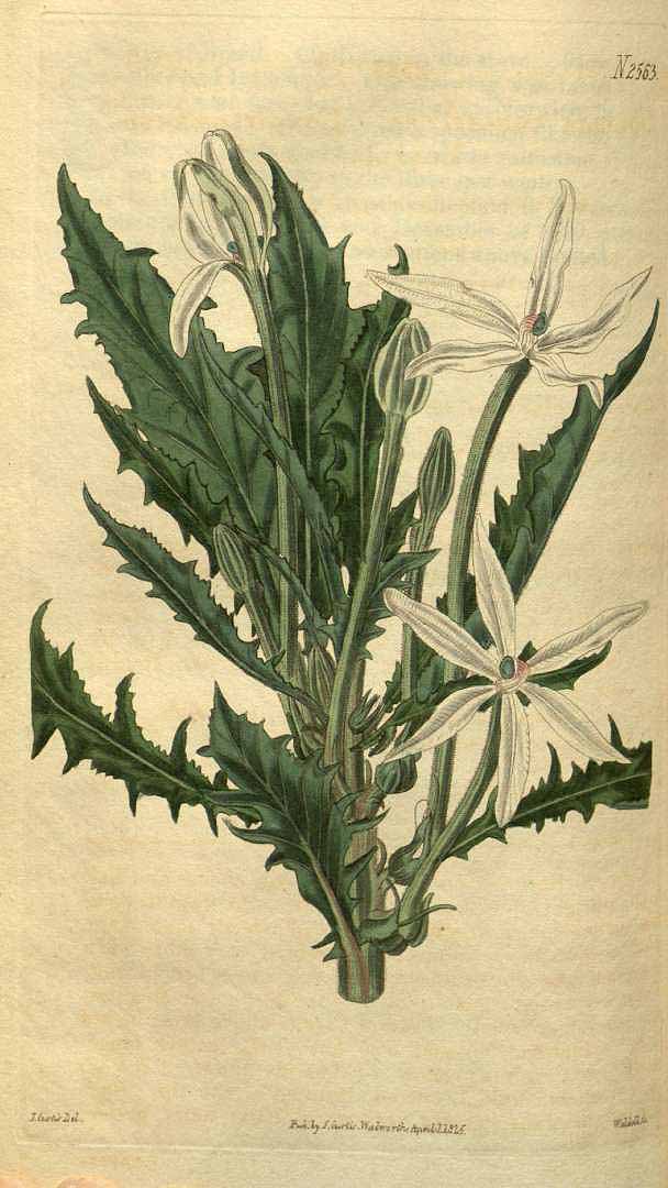 no HD illustration available (3)