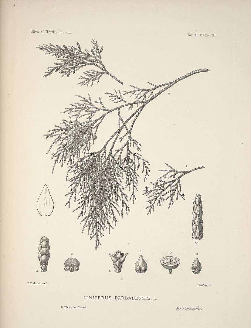 no HD illustration available (3)