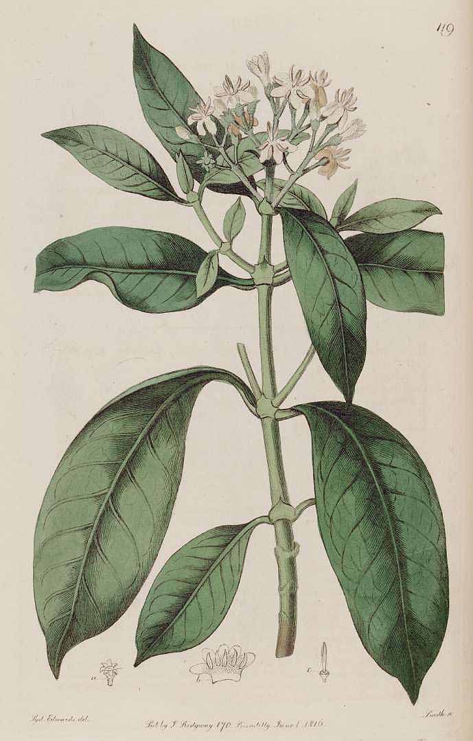 no HD illustration available (3)