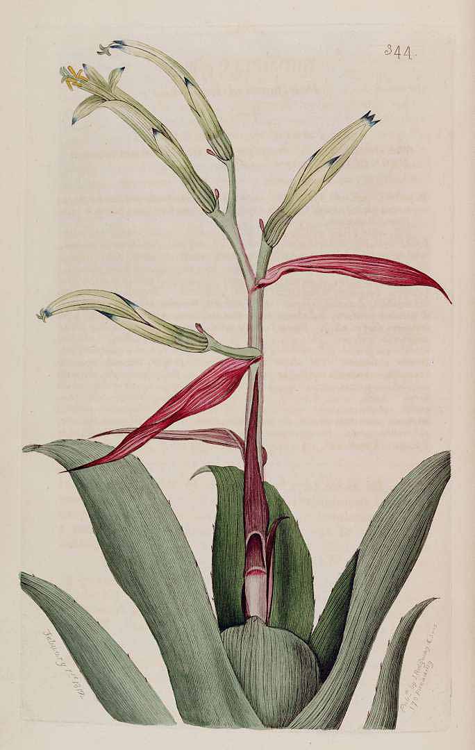 no HD illustration available (3)