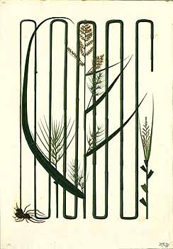 no HD illustration available (4)