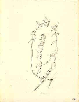 no HD illustration available (4)