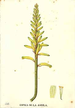 no HD illustration available (4)