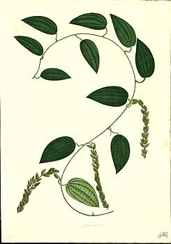 no HD illustration available (4)