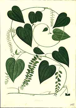 no HD illustration available (4)