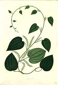 no HD illustration available (4)