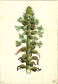 no HD illustration available (4)