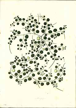 no HD illustration available (4)