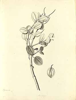 no HD illustration available (4)