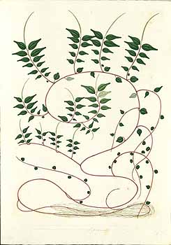 no HD illustration available (4)