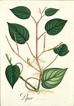 no HD illustration available (4)