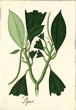 no HD illustration available (4)