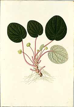 no HD illustration available (4)