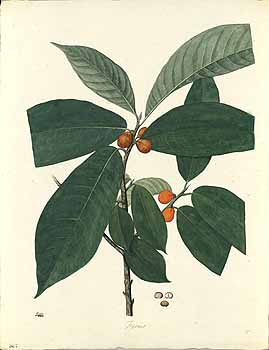 no HD illustration available (4)