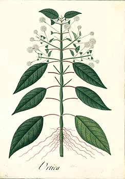 no HD illustration available (4)