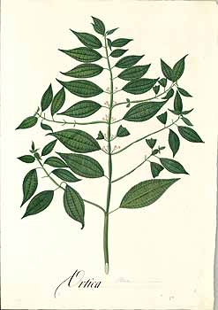 no HD illustration available (4)